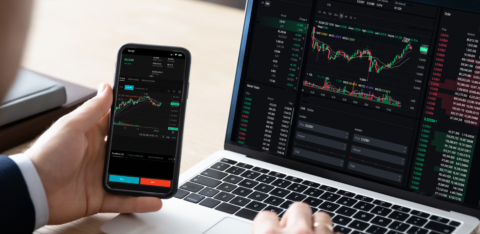 person looking at stock prices